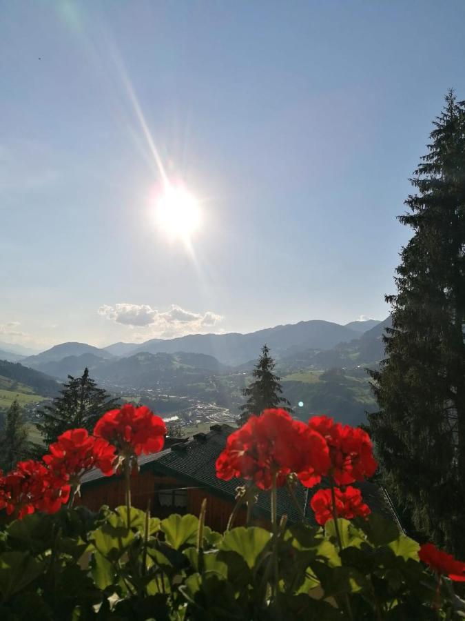 Ferienhaus Deutschmann Sankt Johann im Pongau Bagian luar foto